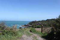 Auf Jersey, während der Wanderung an der Steilküsten im Norden Jerseys