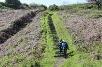 Auf Jersey, während der Wanderung an der Steilküste im Norden Jerseys