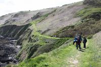 Auf Jersey, während der Wanderung an der Steilküste im Norden Jerseys