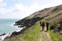 Auf Jersey, während der Wanderung an der Steilküste im Norden Jerseys