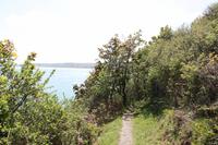 Auf Jersey, während der Wanderung an der Steilküste im Norden Jerseys
