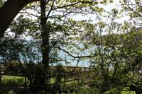 Auf Jersey, Petit Port