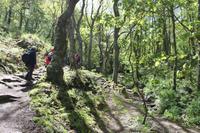 Auf Jersey, während der Wanderung an der Steilküste im Norden Jerseys