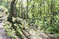 Auf Jersey, während der Wanderung an der Steilküste im Norden Jerseys