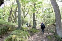 Auf Jersey, während der Wanderung an der Steilküste im Norden Jerseys