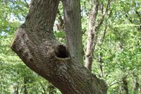 Auf Jersey, während der Wanderung an der Steilküste im Norden Jerseys