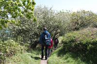 Auf Jersey, während der Wanderung an der Steilküste im Norden Jerseys