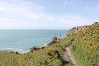Auf Jersey, während der Wanderung zum Corbiere Leuchtturm