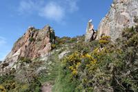 Auf Jersey, während der Wanderung zum Corbiere Leuchtturm