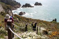 Auf Jersey, während der Wanderung zum Corbiere Leuchtturm