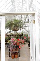 Im Privatgarten auf Jersey