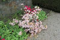 Im Privatgarten auf Jersey