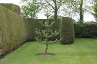 Im Privatgarten auf Jersey