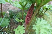 Im Privatgarten von Mr. Miles auf Jersey