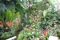 Eric Young Foundation, Orchideen Ausstellung