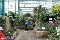 Eric Young Foundation, Orchideen Ausstellung