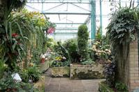 Eric Young Foundation, Orchideen Ausstellung