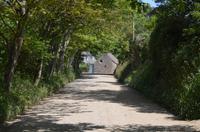 Allee auf Sark