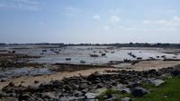 Am Guernsey Rundturm Nummer 11