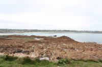 Auf Guernsey