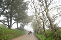 Auf der Insel Sark