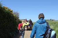 Auf der Insel Sark