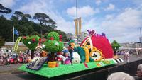 Battle of Flower, Jersey 5
