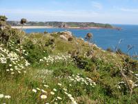 Beauport Bay