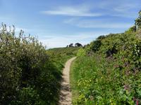 Beim Wandern