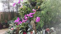 Besuch der 