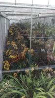 Besuch der 