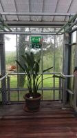 Besuch der 