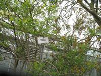 Besuch der 