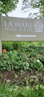Besuch im Wine Estate