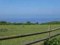 Blick auf Sark