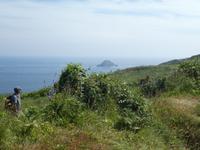 Blick auf Sark