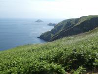 Blick auf Sark
