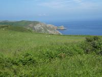 Blick auf Sark