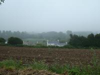 Blick in Jersey