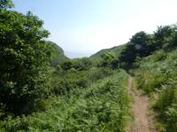 Blick in Sark