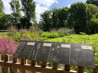 Botanischer Garten Samarès Manor (7).jpeg