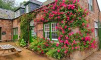 Botanischer Garten Samares Manor auf Jersey