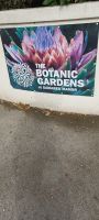 Botanischer Garten in St. Helier