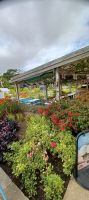Botanischer Garten in St. Helier