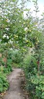 Botanischer Garten in St. Helier