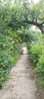 Botanischer Garten in St. Helier