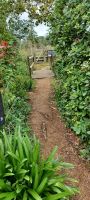 Botanischer Garten in St. Helier
