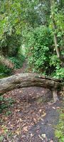 Botanischer Garten in St. Helier