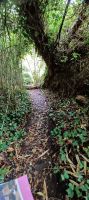 Botanischer Garten in St. Helier