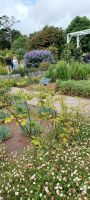 Botanischer Garten in St. Helier